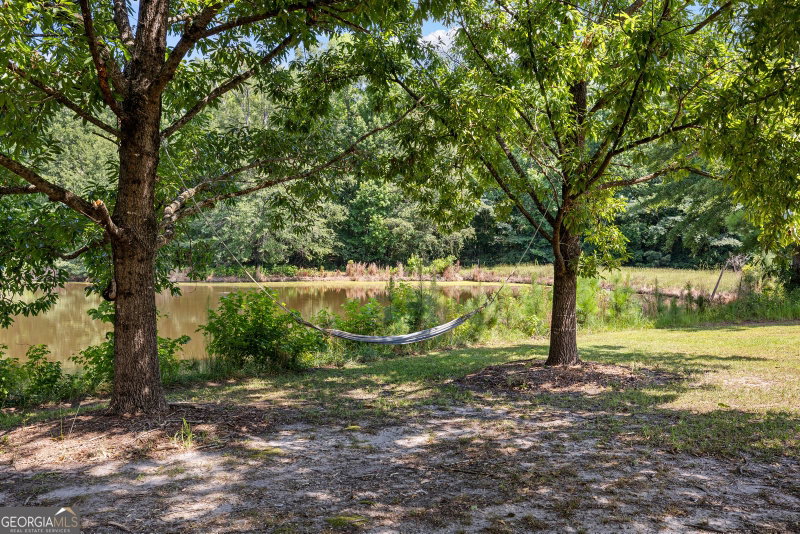 Photo 60 of 456 W McIntosh Road