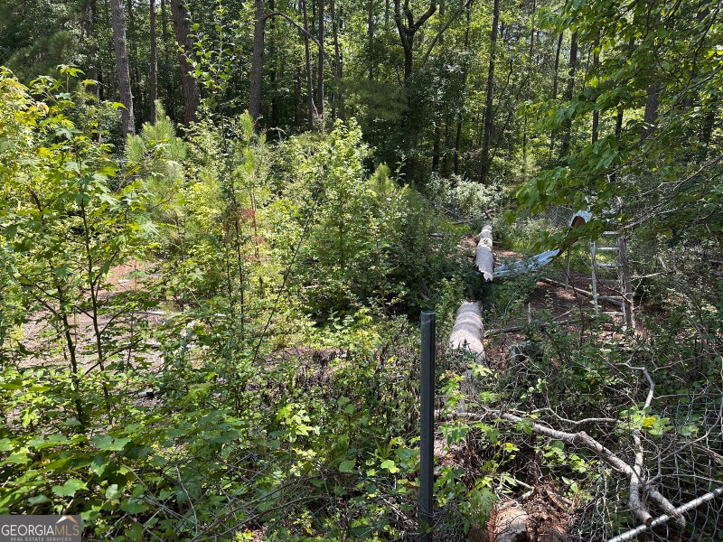 Photo 12 of 4520 Thompson Road