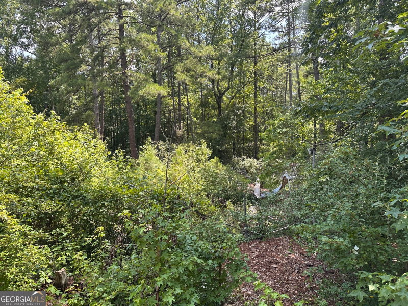 Photo 9 of 4520 Thompson Road