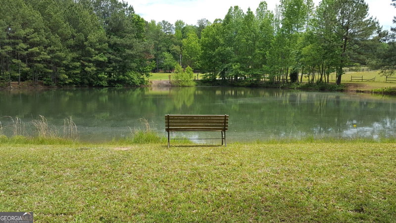 Photo 4 of 260 Lamar Smith Drive