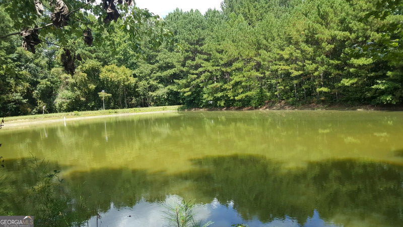 Photo 5 of 260 Lamar Smith Drive