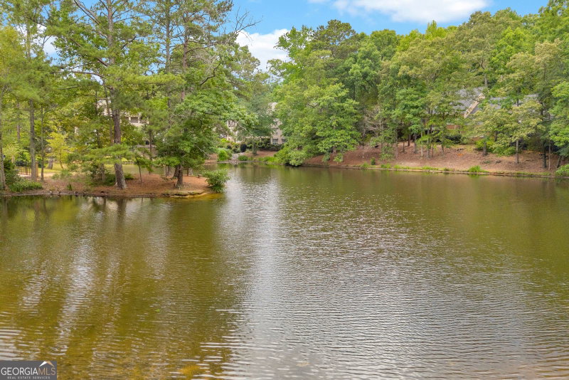 Photo 31 of 350 Wood Lake Drive #33