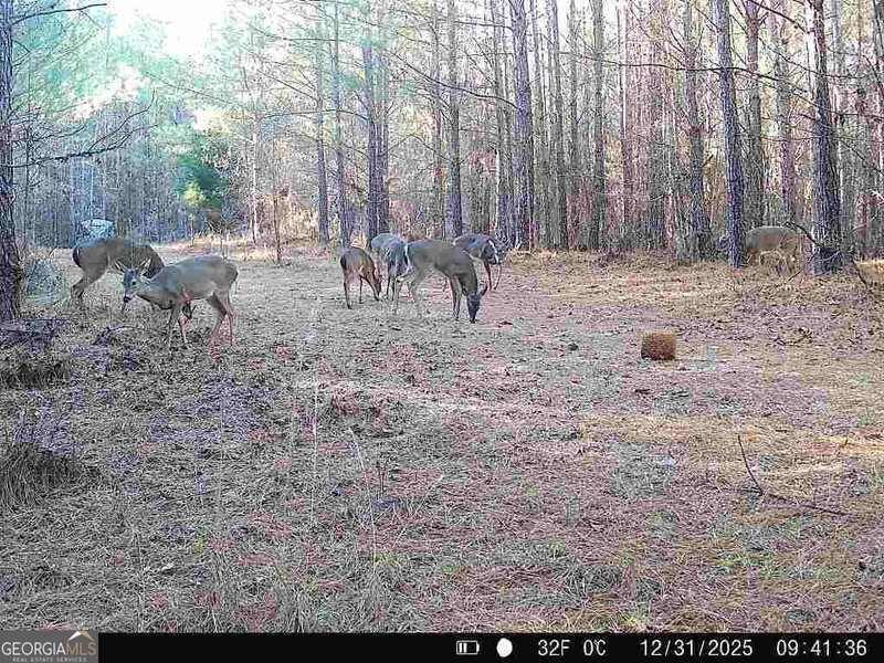 Photo 27 of 1208 Elberton Road