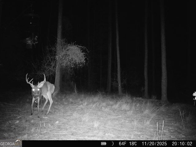 Photo 29 of 1208 Elberton Road