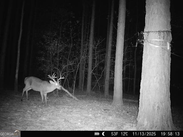 Photo 31 of 1208 Elberton Road
