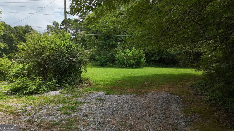 Photo 31 of 2292 Blacksnake Road