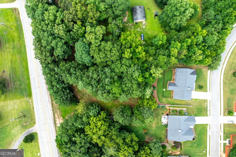 Photo 43 of 281 Petal Creek Lane