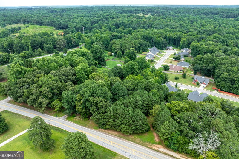 Photo 46 of 281 Petal Creek Lane