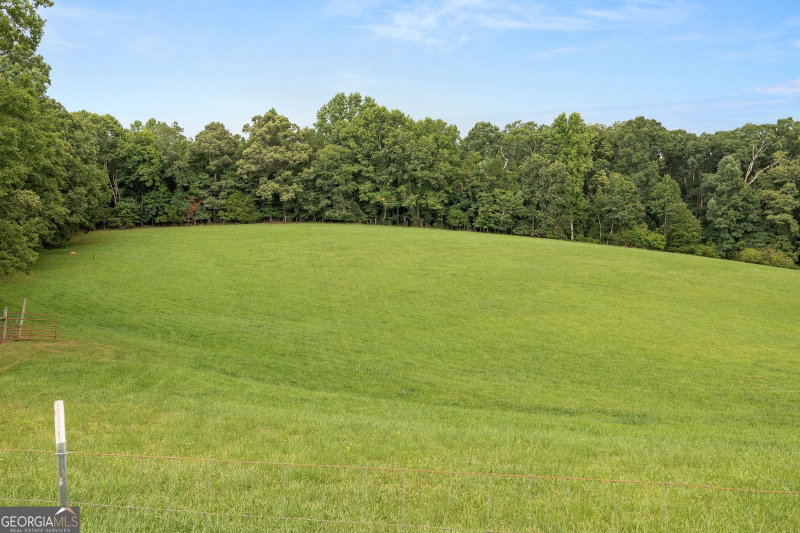 Photo 60 of 828 Garner Road