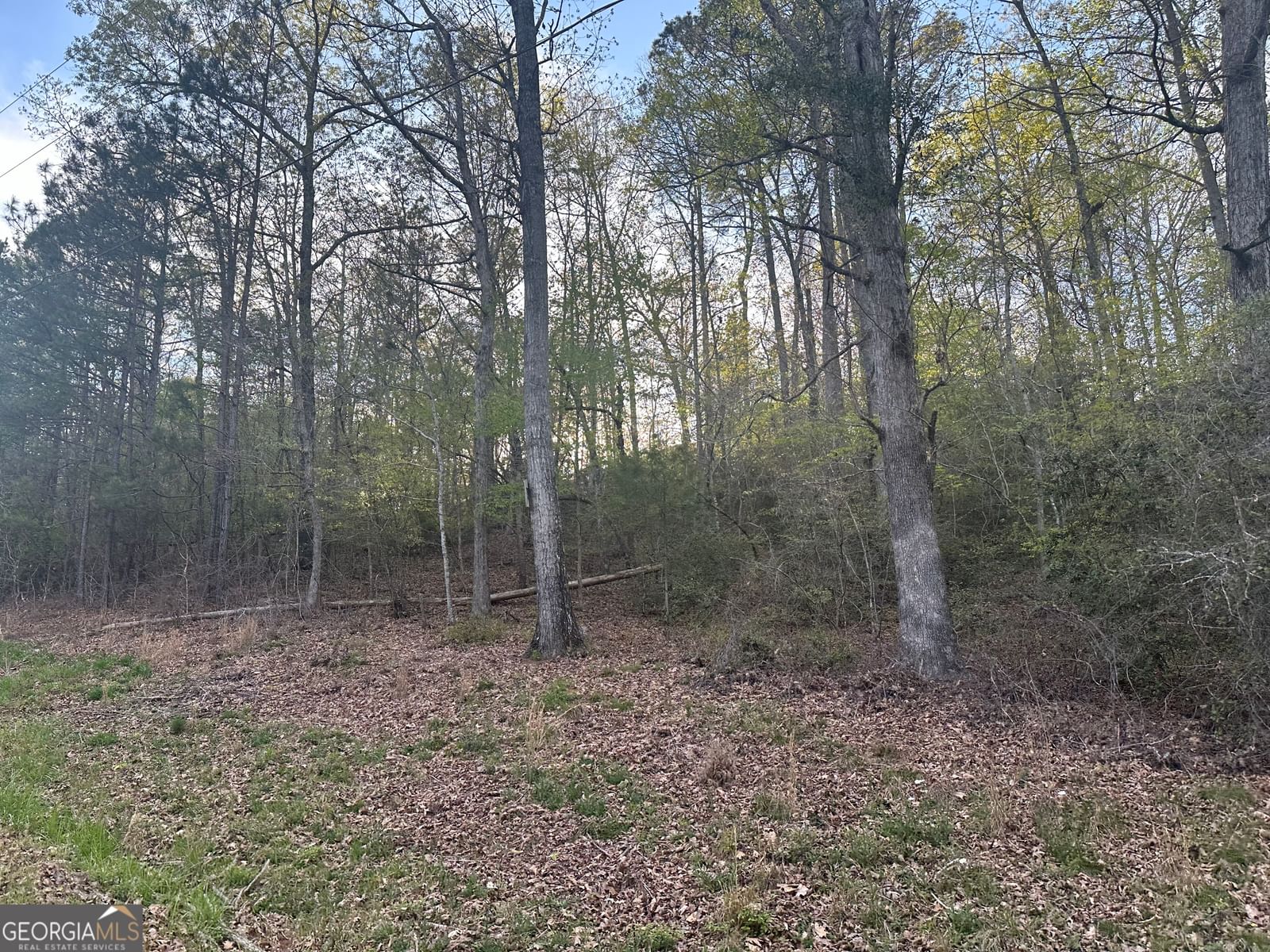1141 Skipstone Drive, Watkinsville, GA 30677