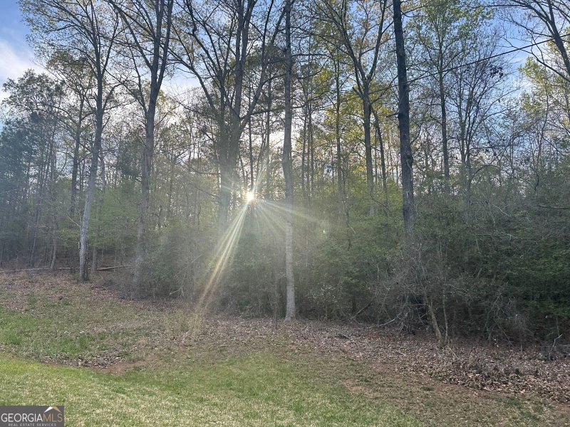 Photo 2 of 1141 Skipstone Drive