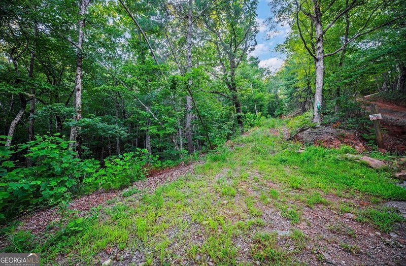 LT 760 Morton Drive