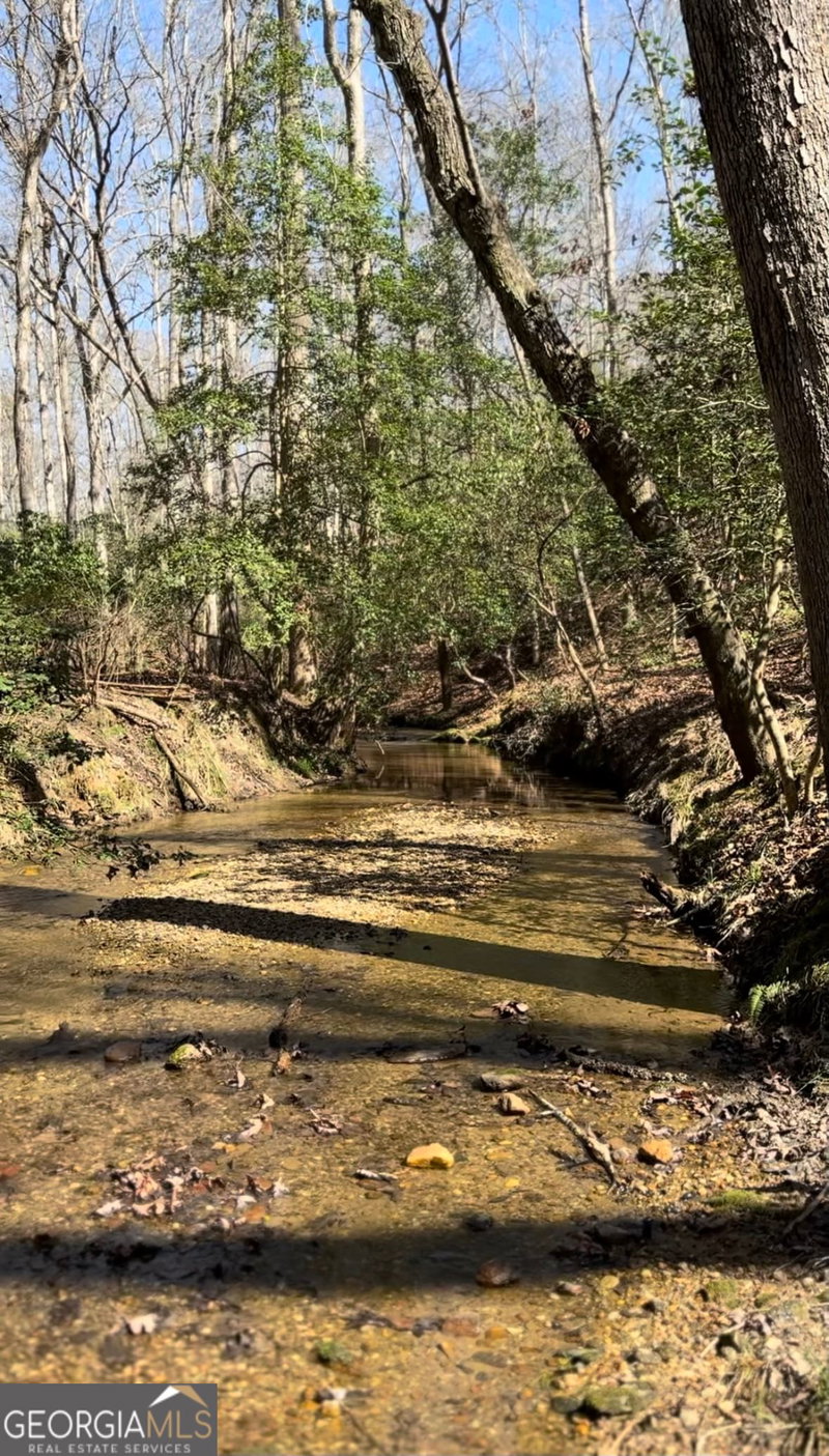 Photo 58 of 387 Cross Creek Trail