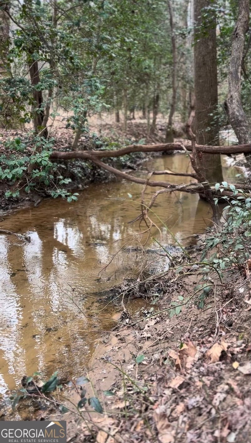 Photo 59 of 387 Cross Creek Trail