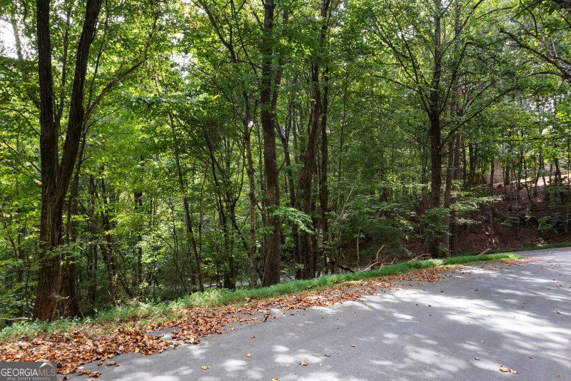Photo 4 of 0 Sal Mountain Way