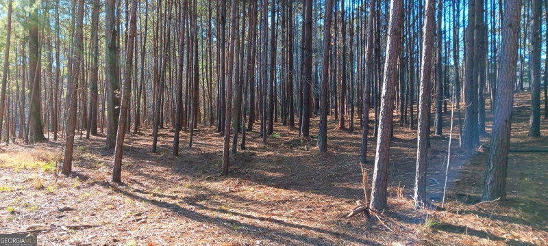 Photo 6 of TRACT D Cedardale Drive/sweetbriar Lane