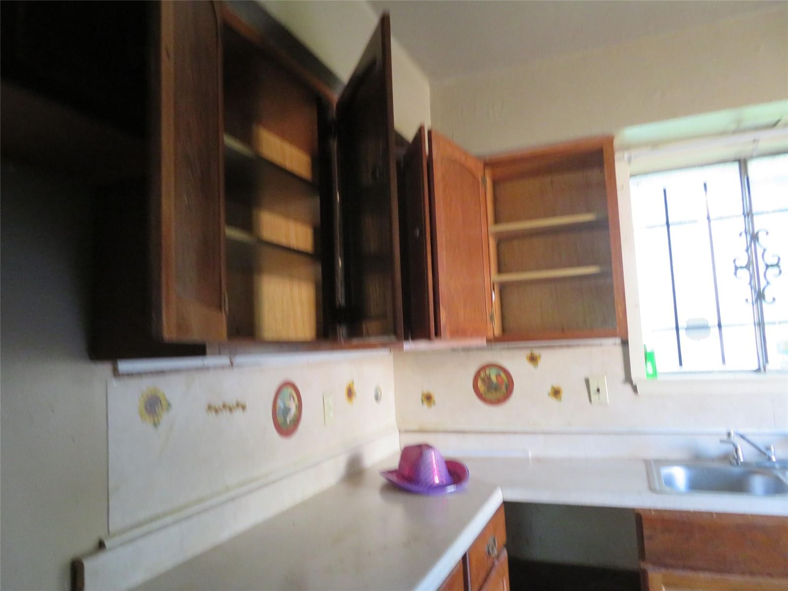 827 Marcolin Street — photo 8