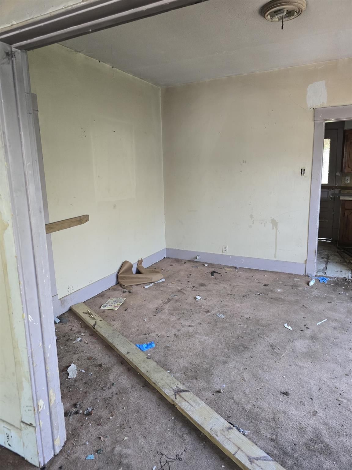 2305 Elysian Street — photo 3