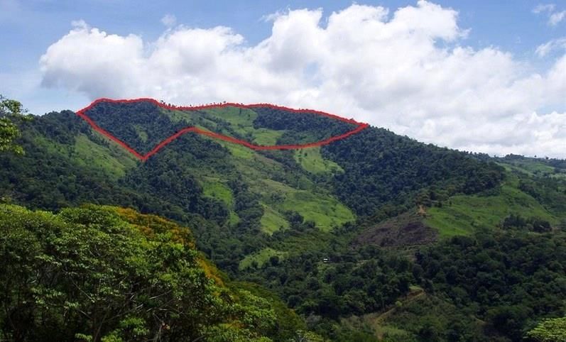 1 Villa Bonita