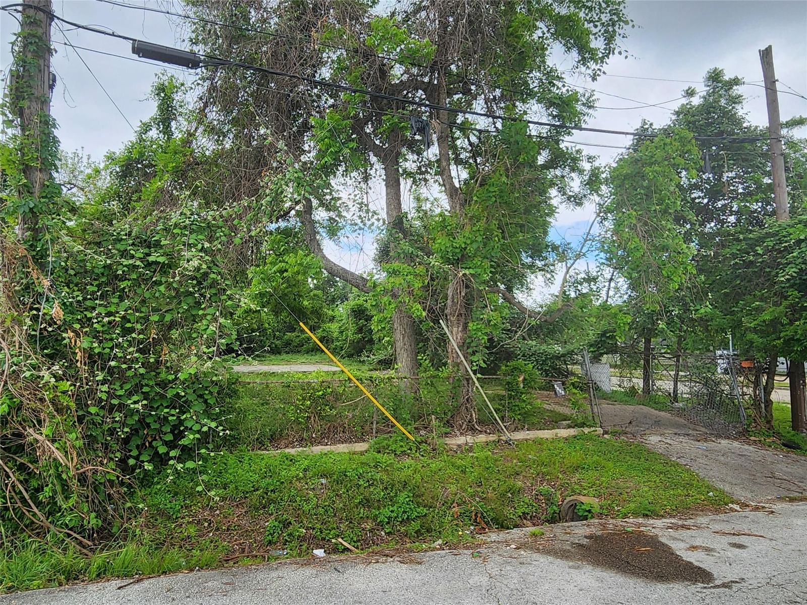 4338 Bond Street — photo 9