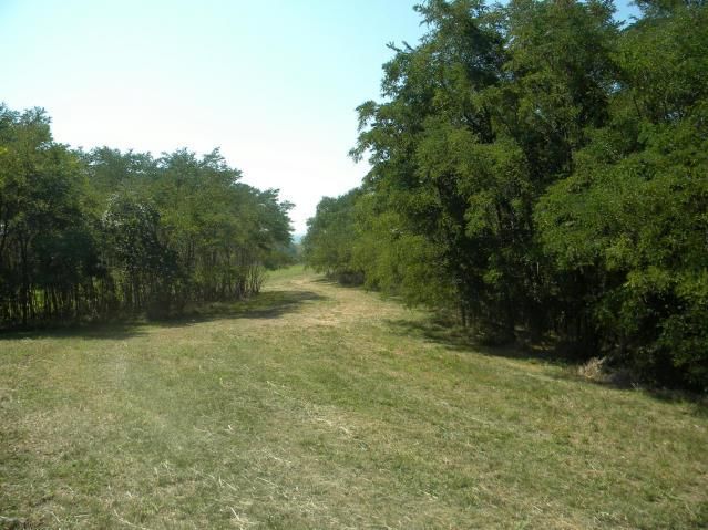 8826 Co Rd 373 Tract B Road — photo 11