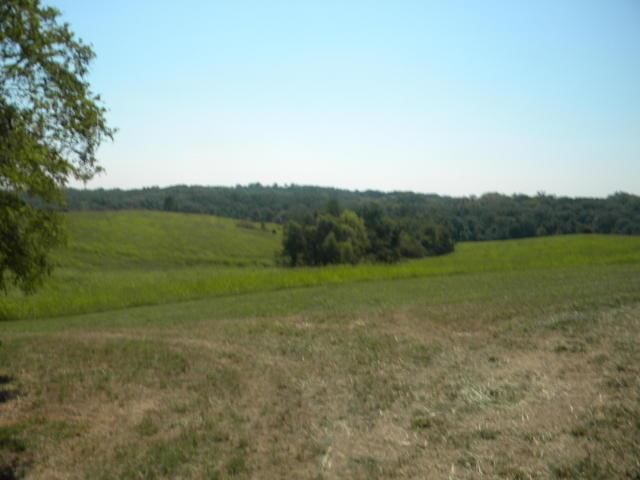 8826 Co Rd 373 Tract B Road — photo 12