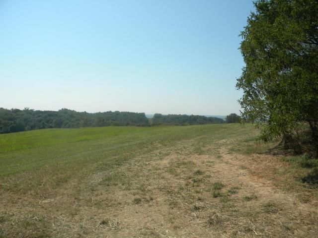 8826 Co Rd 373 Tract B Road — photo 13