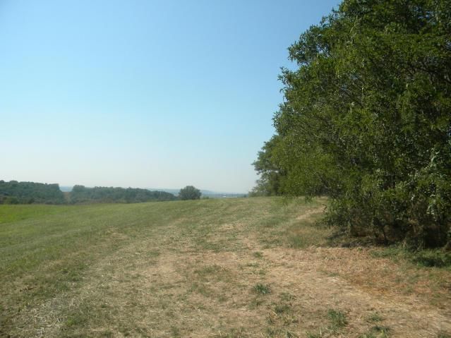 8826 Co Rd 373 Tract B Road — photo 14