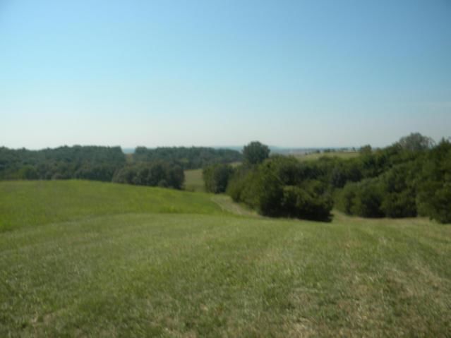 8826 Co Rd 373 Tract B Road — photo 15