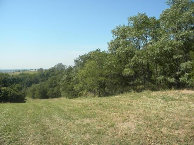 8826 Co Rd 373 Tract B Road — photo 16
