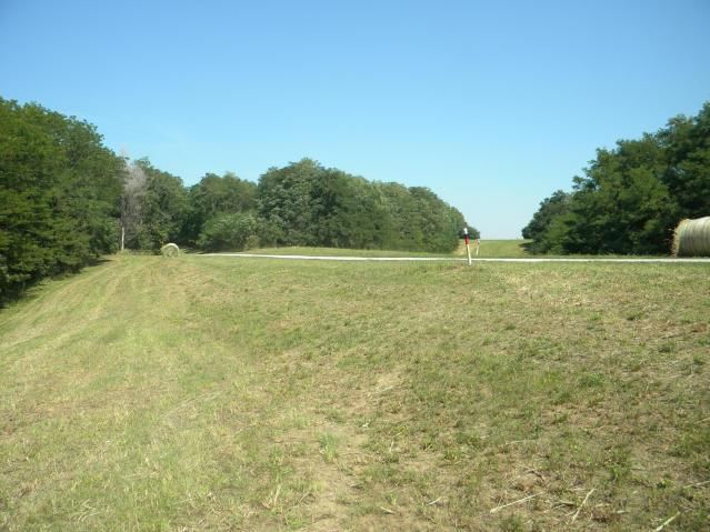 8826 Co Rd 373 Tract B Road — photo 5