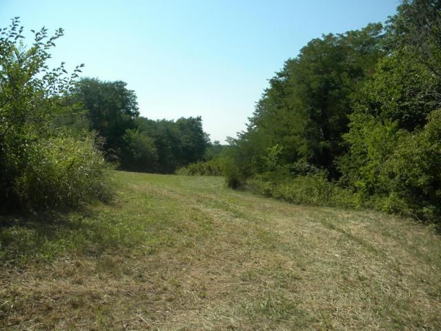 8826 Co Rd 373 Tract B Road — photo 6