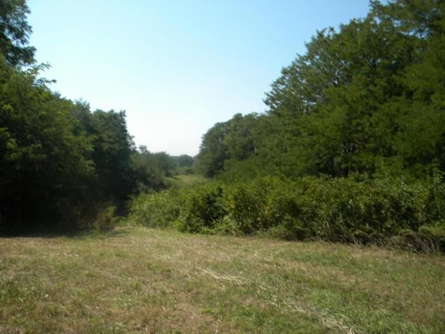 8826 Co Rd 373 Tract B Road — photo 7