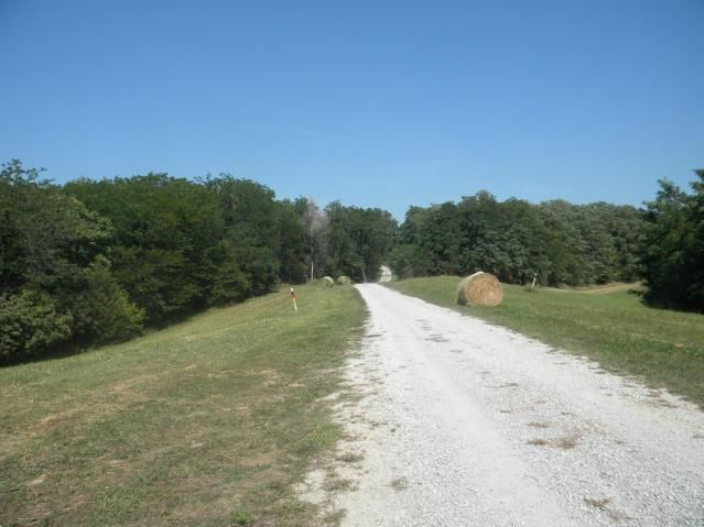 8826 Co Rd 373 Tract B Road — photo 8