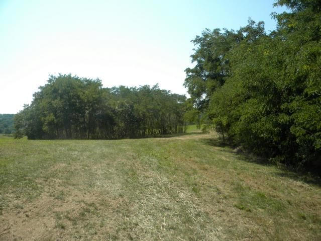 8826 Co Rd 373 Tract B Road — photo 9