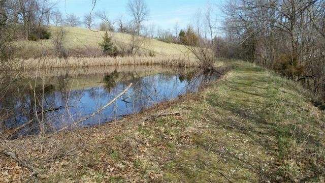 11550 SE State Route A — photo 19