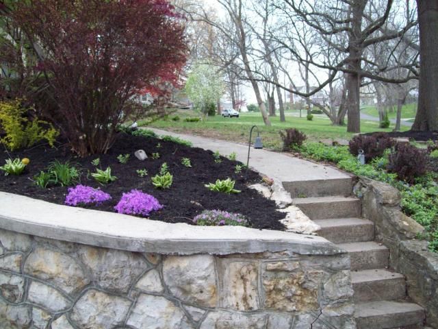 8 Elmwood Road — photo 5