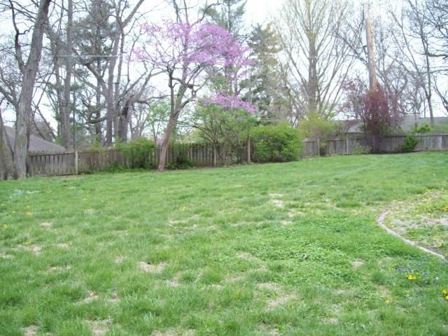8 Elmwood Road — photo 47