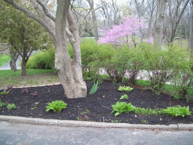 8 Elmwood Road — photo 50