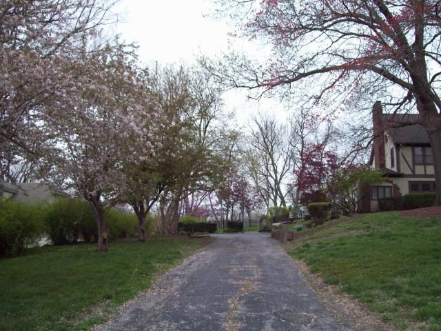 8 Elmwood Road — photo 52