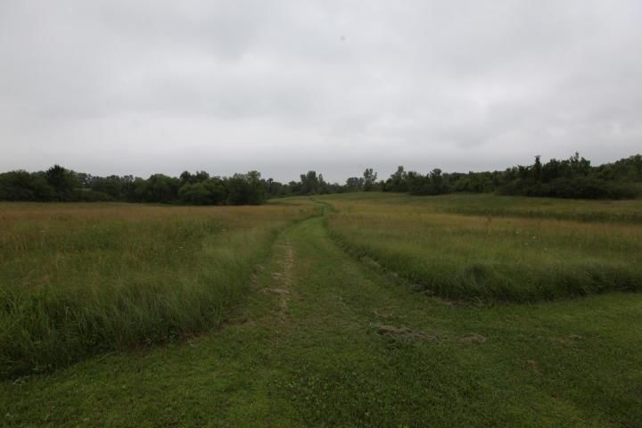 9668 State Route N. — photo 43