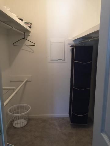 5005 Faraon Street — photo 46