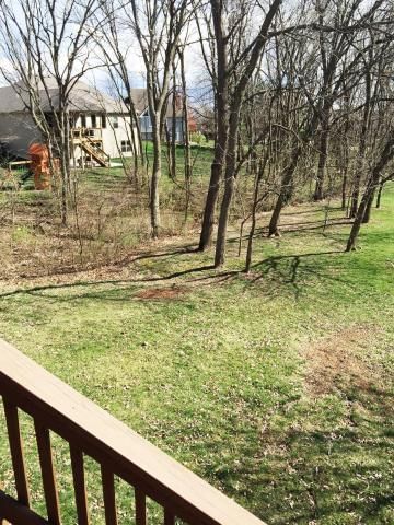 3504 Oxford Court — photo 36