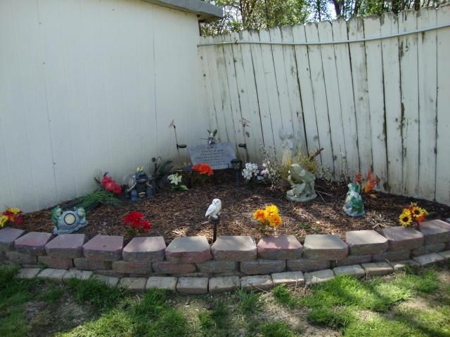 2406 Big Pine Drive — photo 35