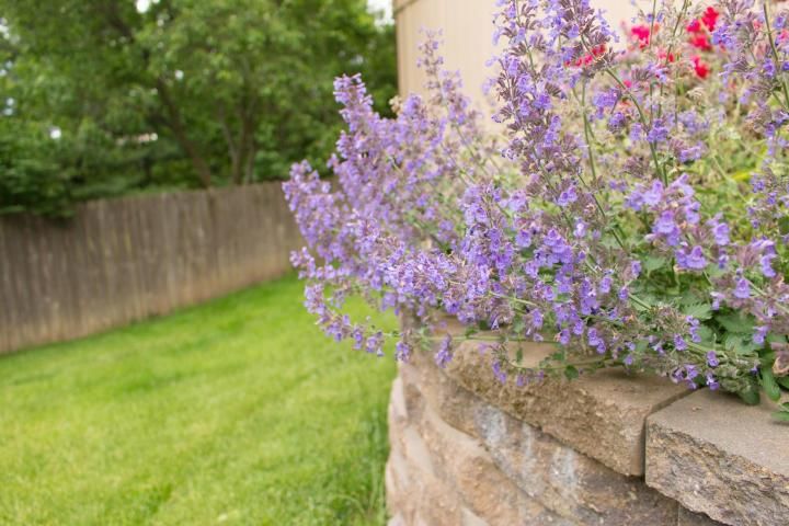 505 Edgewood Court — photo 6