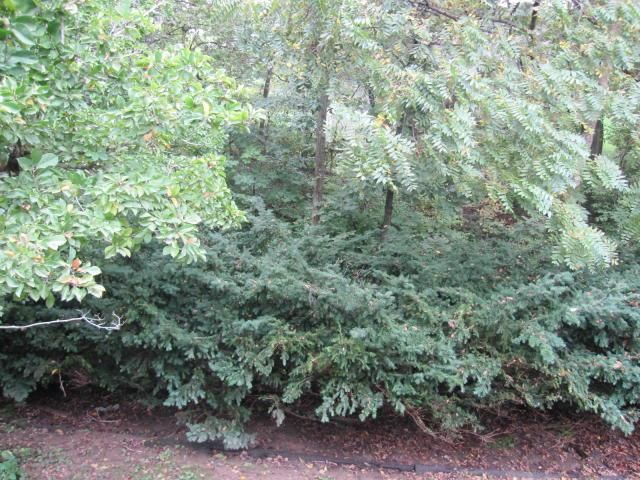 617 Greenbriar Terrace — photo 30