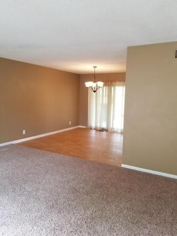 3802 Taggart Court — photo 6