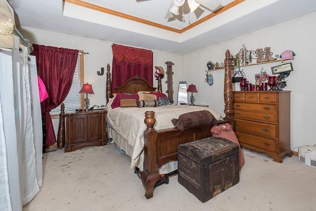 270 Willis Drive — photo 9