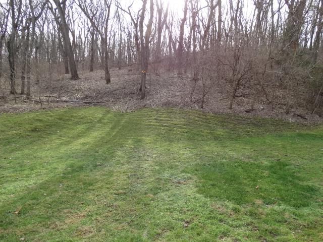 207 Ellis Place — photo 23