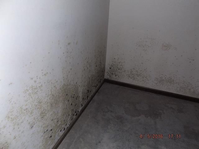 605 Bobcat Avenue — photo 12
